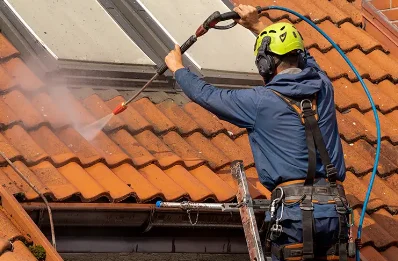 Démoussage et hydrofuge de toiture à Farnay